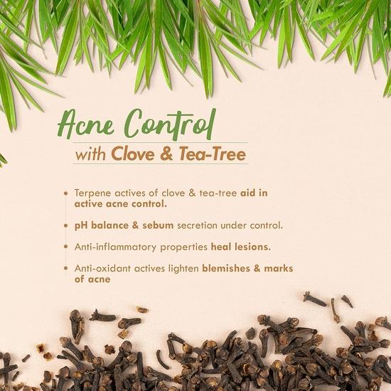 Nat Habit Fresh Whipped Face Cream, Clove Tea-Tree Terpene+ All Day Face Malai For Anti-Acne, Face Moisturisation (30gm, Pack of 1)