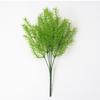 Plant Asparagus Cochinchinensis For Interior Decoration Photography Events