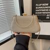 Elegant Plush Evening Bag With Clutch Closure For Womens Night Out