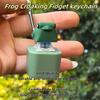 Cute Animal Stress Ball Keychain With Sound Led Delightful Frogs Design With Interactive Features For Car Key Accessory Travel