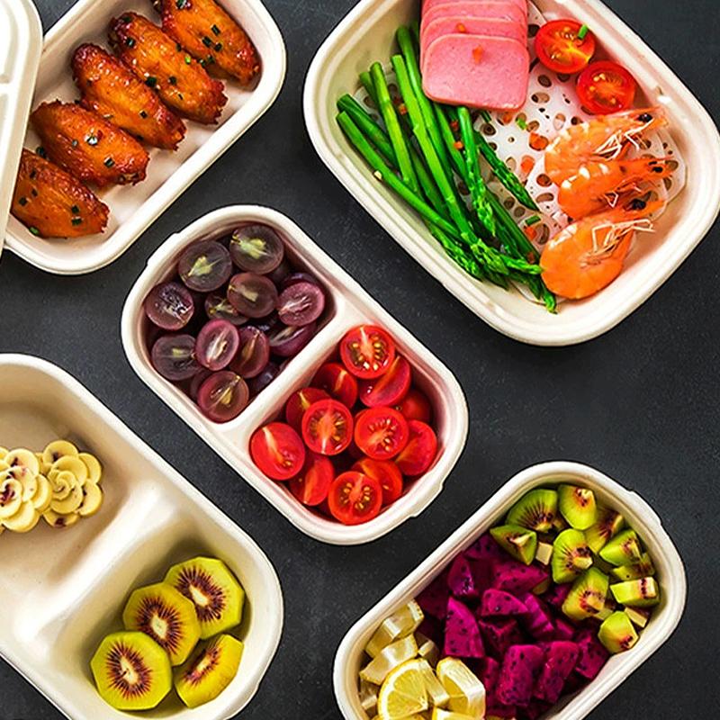 10/50 Stück Ovale Zuckerrohr Bagasse Boxen Umweltfreundliche Biologisch Abbaubare Lebensmittelbehälter mit PET-Deckel