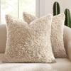 Housse d'oreiller en polaire d'agneau pelucheux Housse d'oreiller épaisse bouclée Teddy Housse d'oreiller douce Minimaliste Nordique Housse de coussin de canapé Décoration d'intérieur confortable