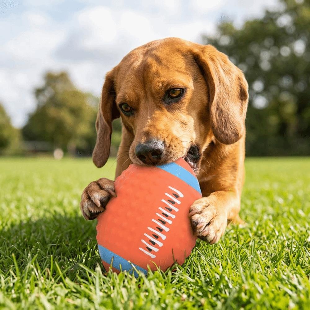 Daily Entertainment Soft Texture Squeaky Ball Oval Shape Latex Rugby Flexible Build Bright Tone Pet Play Teeth Cleaning