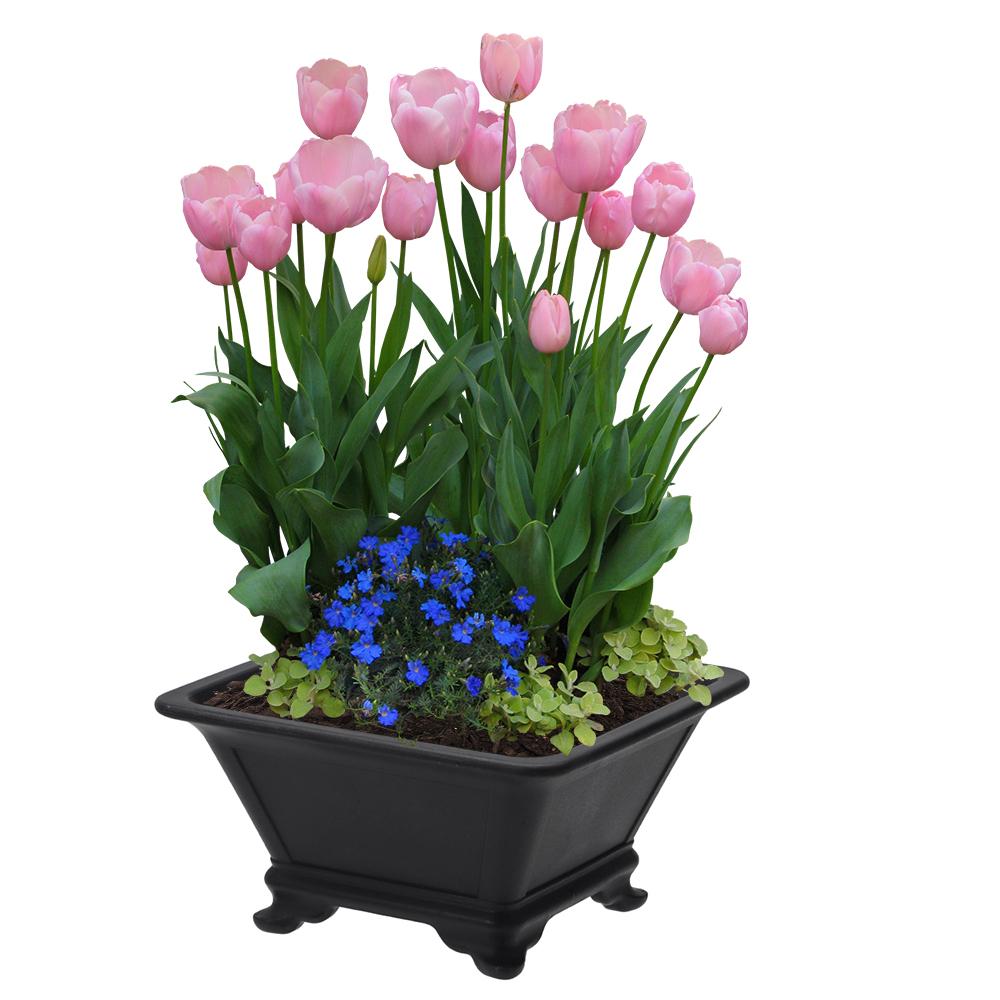 Colorful Flowerpots Durable Thick Bonsai Tray Pots Simple Four Sided Basin  Gardening