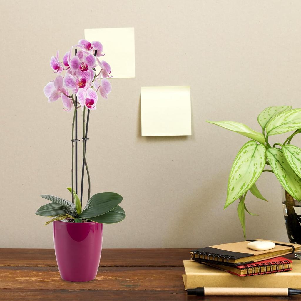 2 Pcs Orchid Leaves Artificial Real Touch Faux Phalaenopsis Stems Leaf 8 Inches Green Leaf Plants Fake Cymbidium Flower Foliage Green Real Touch