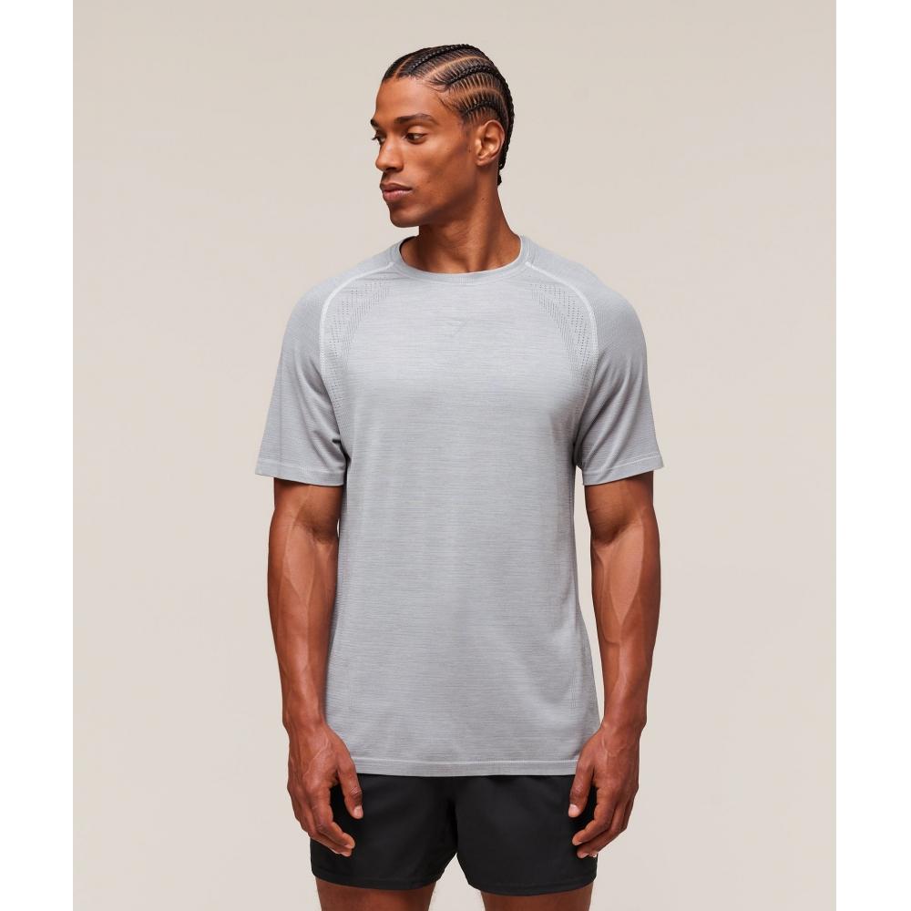 Gymshark VersaTile Seamless T shirT lighT Grey Smokey Grey A3b2u Gb8v