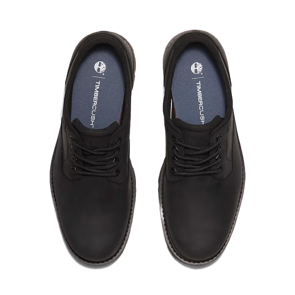 Timberland Britton Road Casual Fashion Low Top Lifestyle Shoes Men Sneaker Black TB0A69T9W02