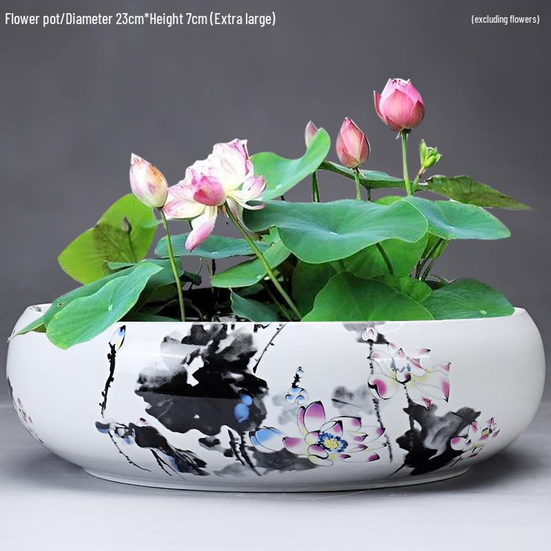 Großer Keramik-Lotus Seerose Hydroponischer Blumentopf ohne Abfluss
