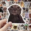 100 Pcs Cute Cat Stickers for Kids Boys Girls Waterproof Cat Meme Decals for Laptop Skateboard Luggage Car Bumper Water Bottle Decor