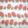 Shirayuki Yuzen Dishcloth Strawberry