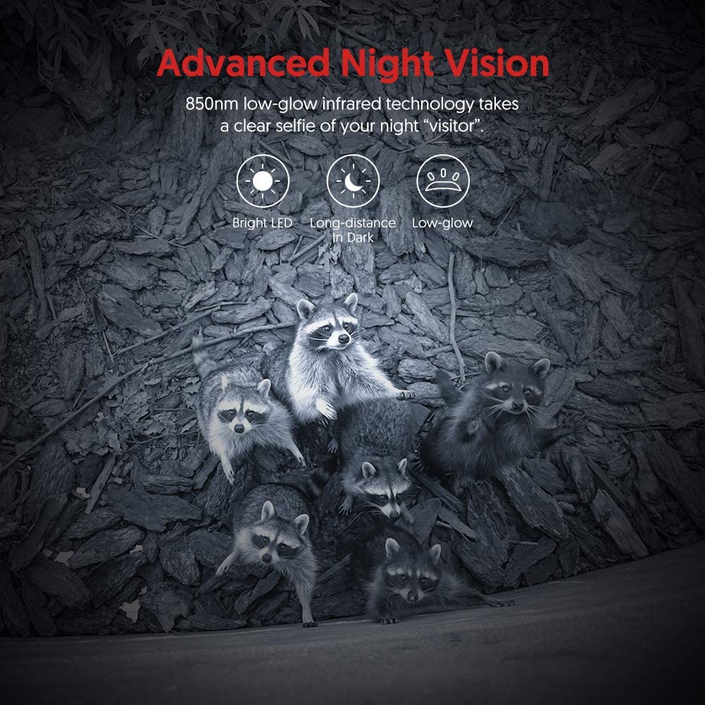 LS VISION מצלמת שביל מיני לציד 20MP 1080P מצלמות חיות בר יער מצלמת צייד פראי Mini600 מלכודת תמונות מעקב מעקב