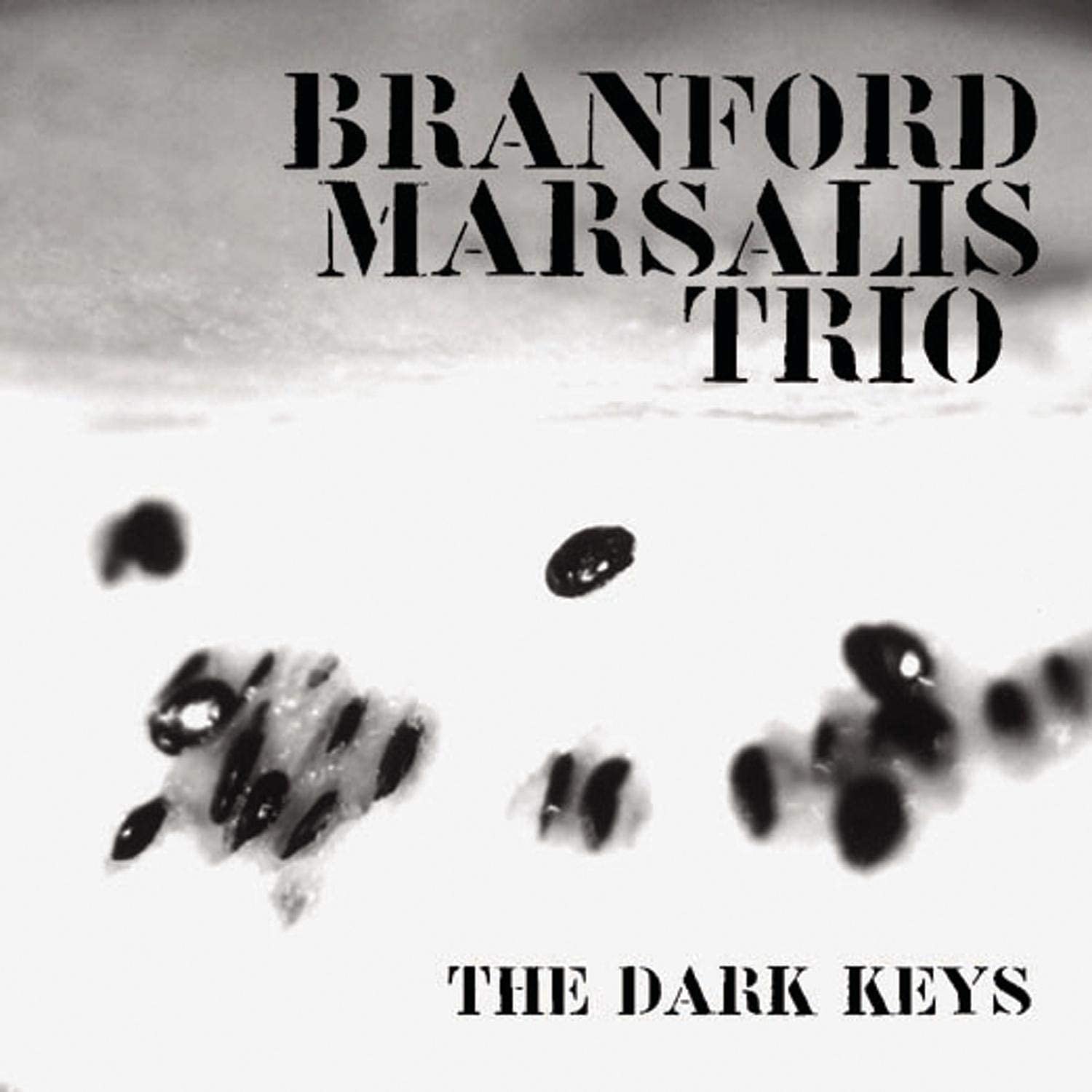 

CD BRANFORD MARSALIS - Dark Keys CK67876 Columbia 1996 Non Japan Jazz Used