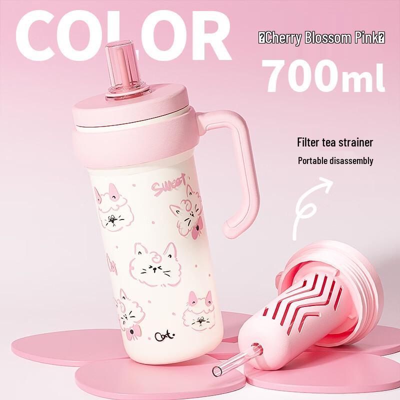 

Large Capacity Cartoon Kids Thermos Cup with Handle