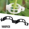 Tomato Vine Clips Plant Support Garden Clips Reusable Plant Fixing Clips Crop