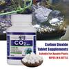 CO2 Tablet Carbon Dioxide Diffuser for Water Plant  Aquatic Leaf Float Grass Fish Aquarium Carbon Dioxide Diffuser Water Plant