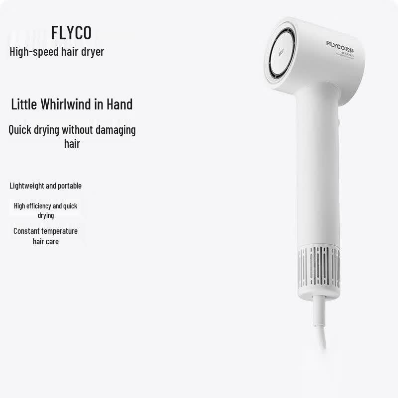 FLYCO High-Speed Negative Ion Hair Dryer CN plug (adapter included) FH6370