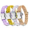 Pet dog products, small, medium and large fashion dog neck ring, strong neck-proof cat collar