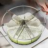 Stainless Steel Cake Divider 6/7/8 Equal Portions Cake Slicer Pizza Pie Cutter Kitchen Gadgets Pastry Cheese Divider tool