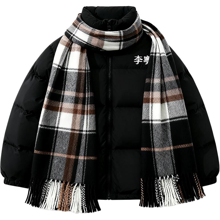 Li Ning Down Jackets Unisex Stand Collar Moderate YYMU211-1