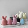 Unique Easter Decorations and Treats Mold Creative Easter Eggs Ornaments Mold Resin Mould for Home Decors Project