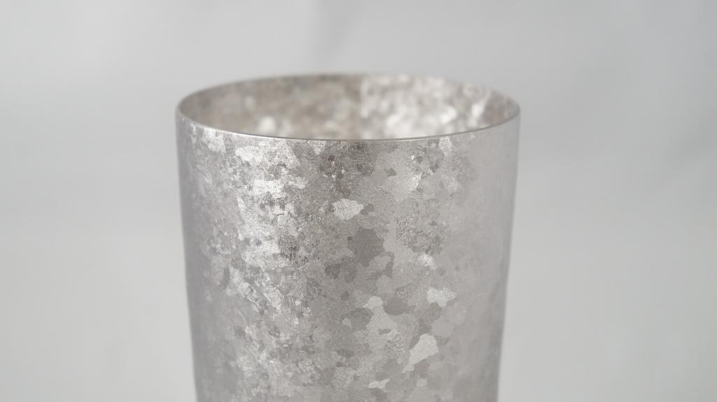 HORIE Premium Kiln-Crafted Titanium Double-Walled Tumbler, Made In Tsubame, Niigata Prefecture, 350cc, Set of 2, Silver (T08KMS350SET)