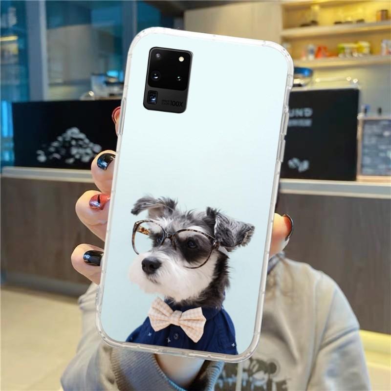 Roztomilý pes knírač nosí brýle pouzdro na telefon pro Samsung Galaxy S10 S21 S22 Plus Ultra A91 A51 A21S A12 Průhledný kryt na telefon