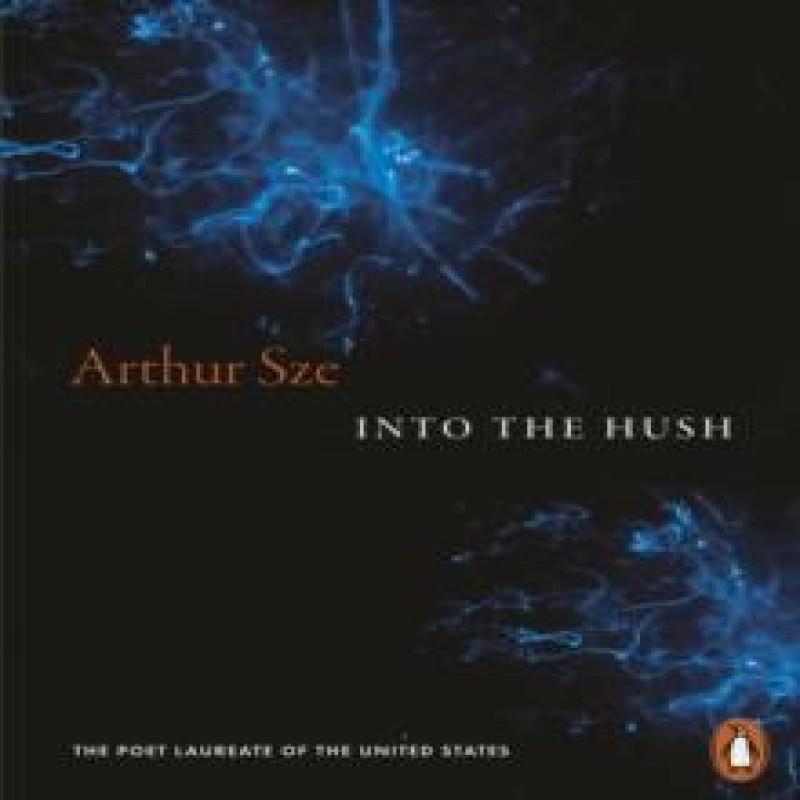Into the Hush by Arthur Sze Paperback Book 9781837312252