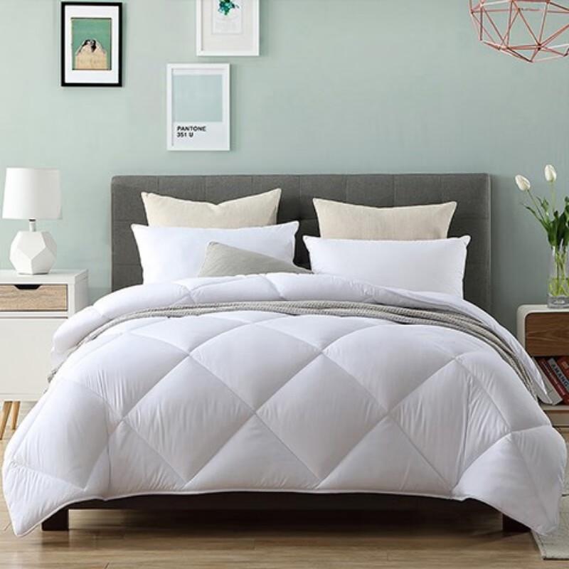 

Mengjie Cloud-Feel Antibacterial Summer Quilt