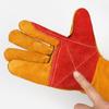 Professional Animal Handling Gloves