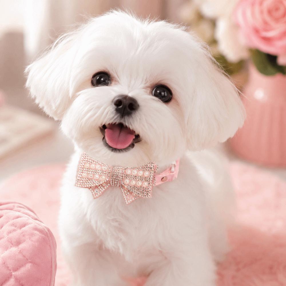 Collana-Collare Scintillante Stile Principessa per Gatto Collare per Cane in Pelle PU Regolabile Decorazione Collare per Animali Domestici Strass per Foto