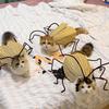 Innocent Cat Cockroach Cosplay Outfit - Handmade DIY Pack