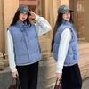 Stand-up collar plaid sleeveless cotton jacket vest jacket women's summer new stacked wear casual loose hidden buckle vest tide
