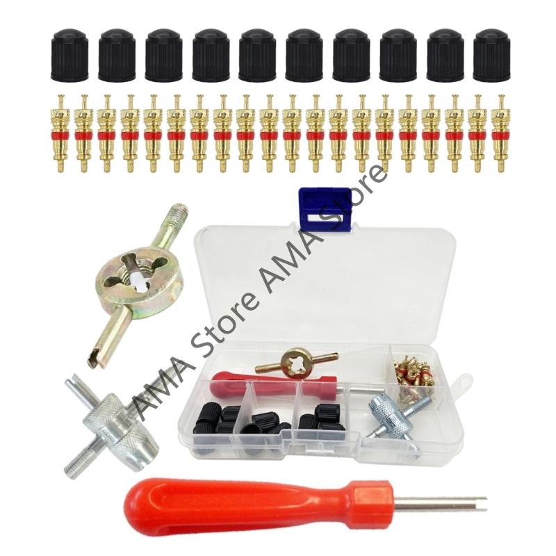 X7JF 33Pcs Universal Valves Stem Cores Tool Steel Shafts Plastic Grip Tire Repair set
