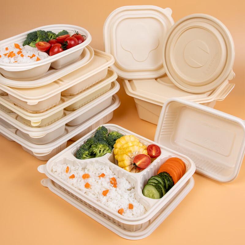 Eco-Friendly Disposable Rectangular Take-Out Food Containers (50 Sets, 500ml)