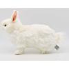 Snow Hare No.4671