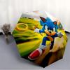 1pc Shadow the Hedgehog Automatic Cute Umbrella 8-Bone Design Compact Gear for Outdoor Travel, Perfect Holiday Gift yy251230034