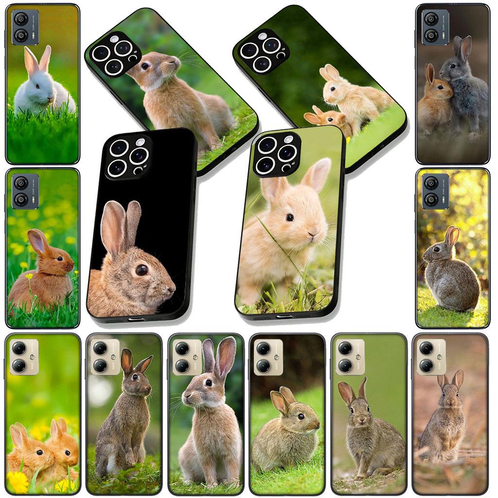 Phone Cover for Samsung Galaxy S25 S24 S23 FE Plus Ultra S7 Edge A16 A15 5G S25+ Casing Flexible Case Rabbit