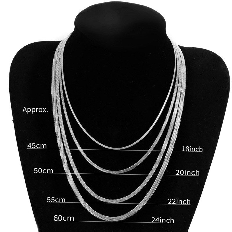

Fashion Style Minimalist Flat Blade Snake Bone Necklace Neutral Necklace Clavicle Chain Kendall Jenner Fancy Accessible Luxury Choker 3mm Silver 40+5cm(Circumference 45)