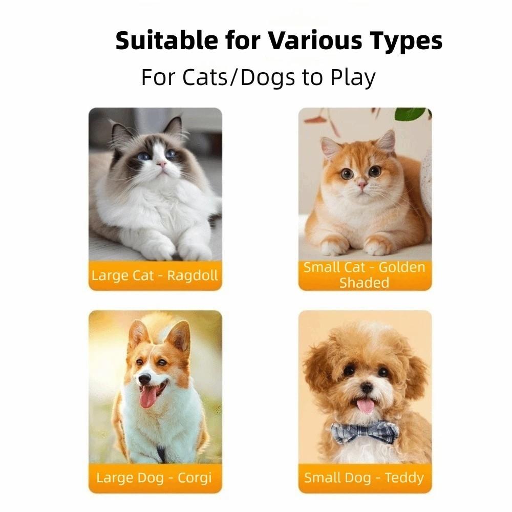 Scratch Resistant Automatic Mouse Follow Toy Adjustable Interactive Cat Toy  For Cats Dogs