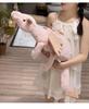 Jelly Sky Blue Rainbow Snow Dragon Plush Toy - Large Leg-Clamping Pillow for Women