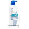 Head & Shoulders Ocean Fresh Anti-Dandruff Shampoo