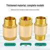 Xingqishi Brass Vertical Spring Check Valve
