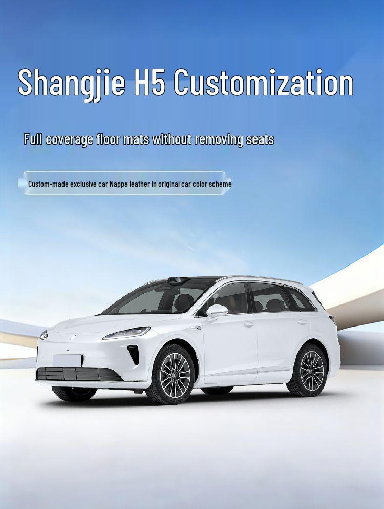 Shangjie H5 Car Floor Mats - Custom Fit for 26 Models, Premium Decorative Auto Accessories