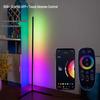 OEING Modern RGB Floor Lamp