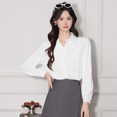 Women's Professional Long-Sleeve Chiffon Blouse
