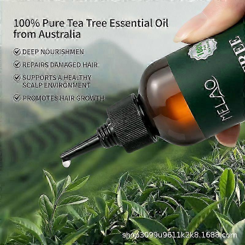 Tea Tree Oil for Hair | With Jojoba & Grapeseed Oils | Soothes Itchy Scalp & Fights Dandruff | Cold Pressed | Non Greasy | 150ml