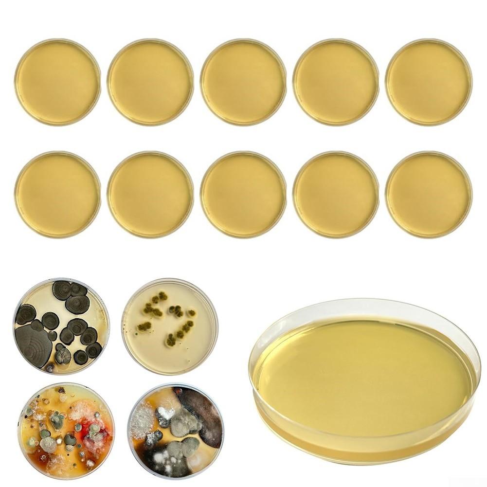 Reliable For Mold Detection In Homes Comprehensive DIY Kit Featuring 10 Tests