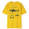 Great White Shark Anatomy T-Shirt Summer Street Short Sleeve Hip Hop Punk Style Boy Casual Tops Fashion White Tees