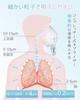 MEDIKEN ME101 White Compressor Nebulizer Inhaler - Fine Mist, Quiet Operation, Easy Cleaning, USB-C Powered, Compatible with Common Inhalation Medicat