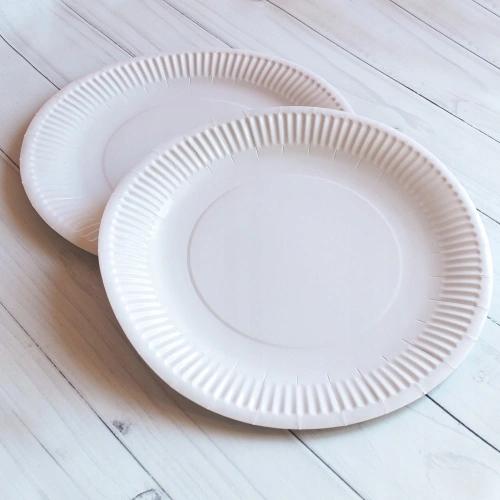 Paper Plate Disposable Ecological Catering Eco